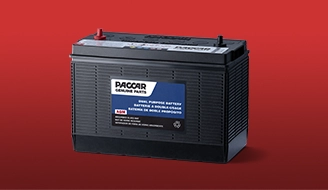 Image of a Paccar genuine battery